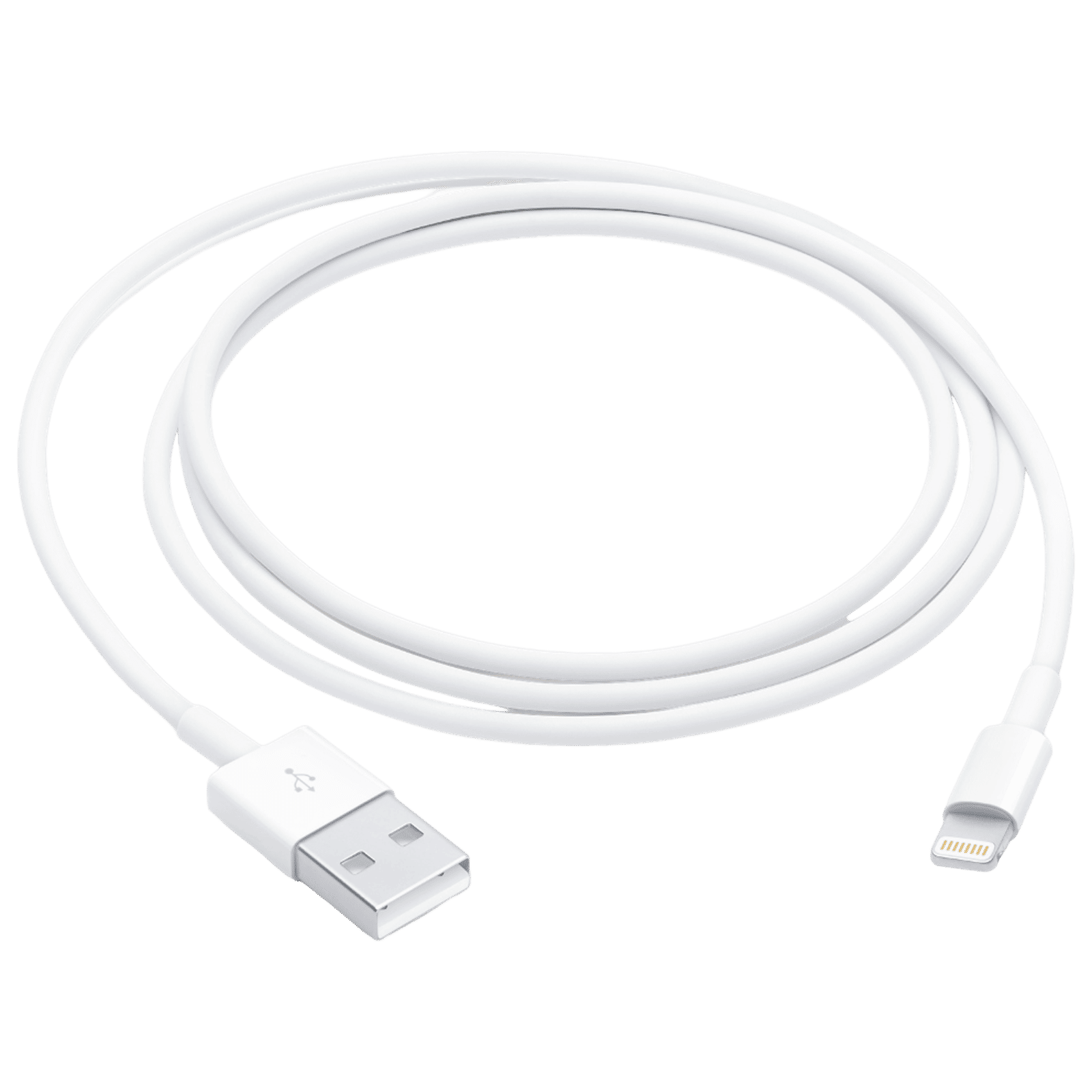 Apple Type A to Lightning 3.2 Feet (1M) Cable (Reversible Design, White)