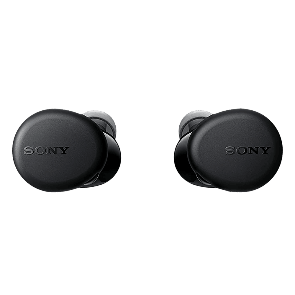 Buy SONY WF-XB700 TWS Earbuds with Active Noise Cancellation (IPX4