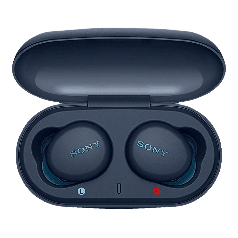 Buy SONY WF-XB700 TWS Earbuds (IPX4 Water Resistant, 18 Hours