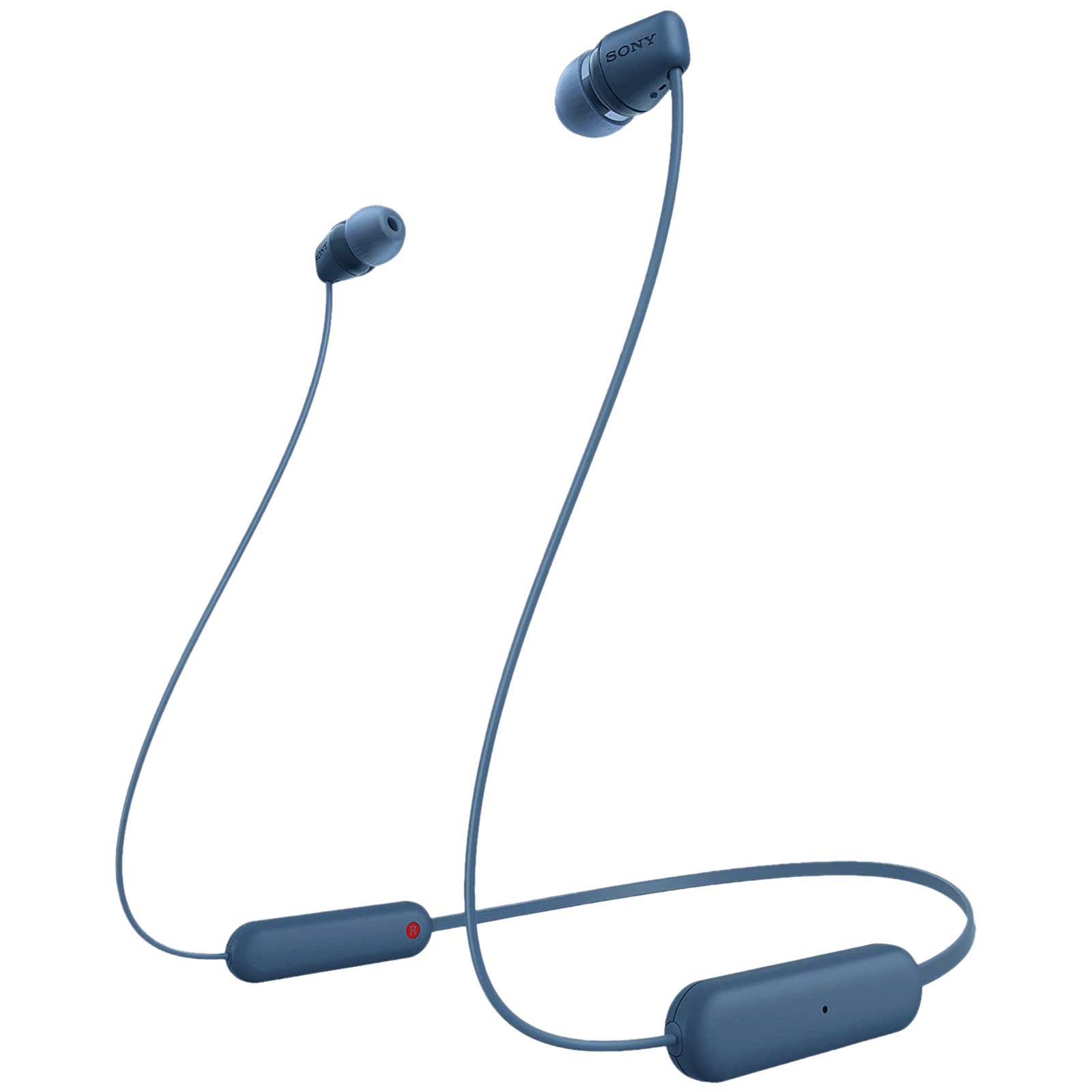 SONY WI-C100 Neckband (IPX4 Sweat & Splashproof, 25 Hours Playtime, Blue)