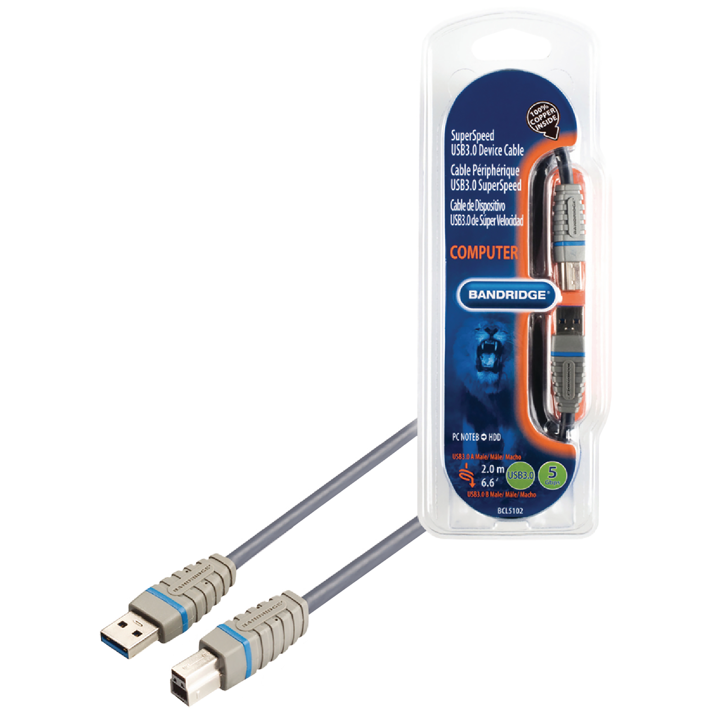 Bandridge Type A to Type B 6.5 Feet (2M) Cable (5 Gbps Transfer Speed, Blue)