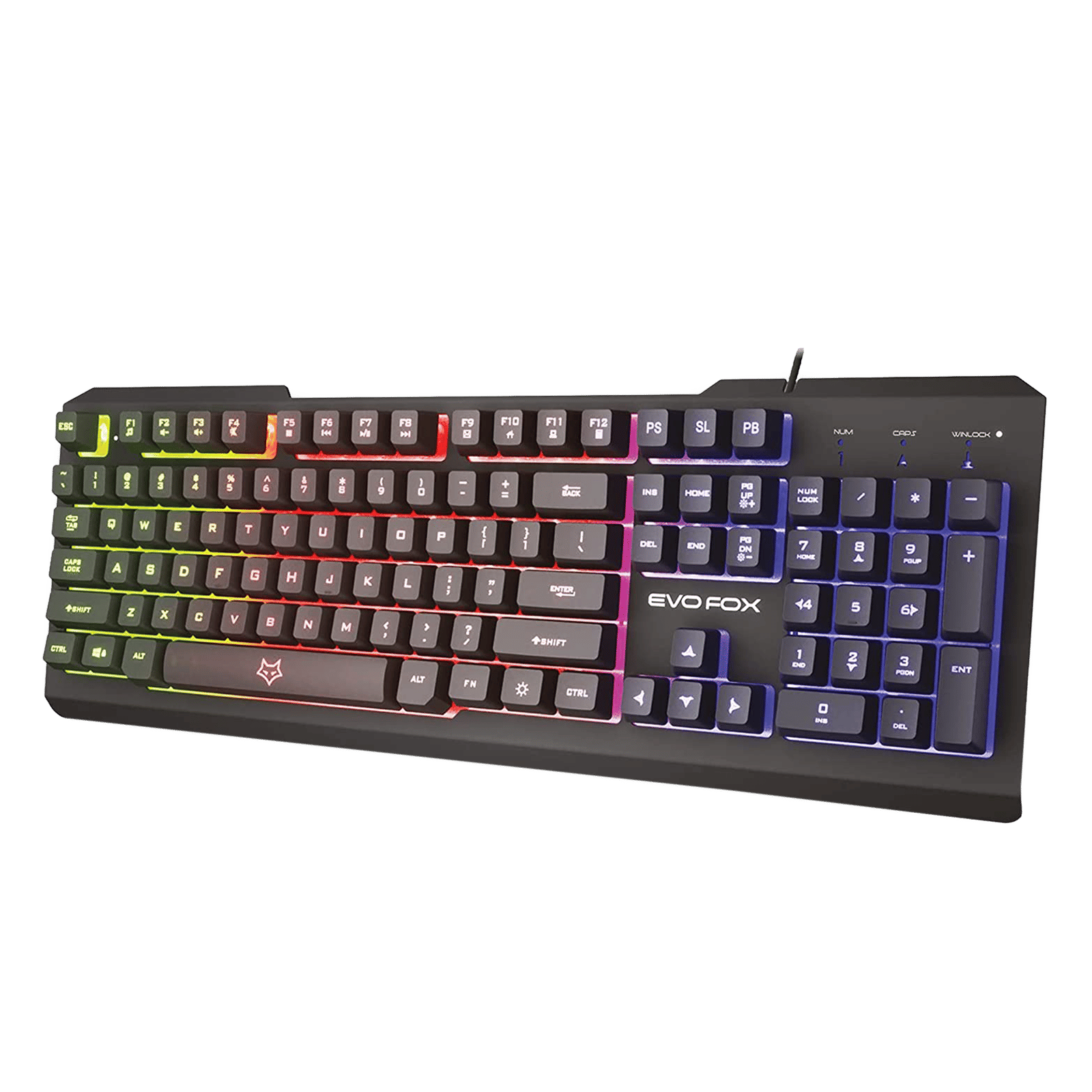 AMKETTE EvoFox Warhammer Wired Gaming Keyboard with Backlit Keys (19 Anti Ghosting Keys, Black)