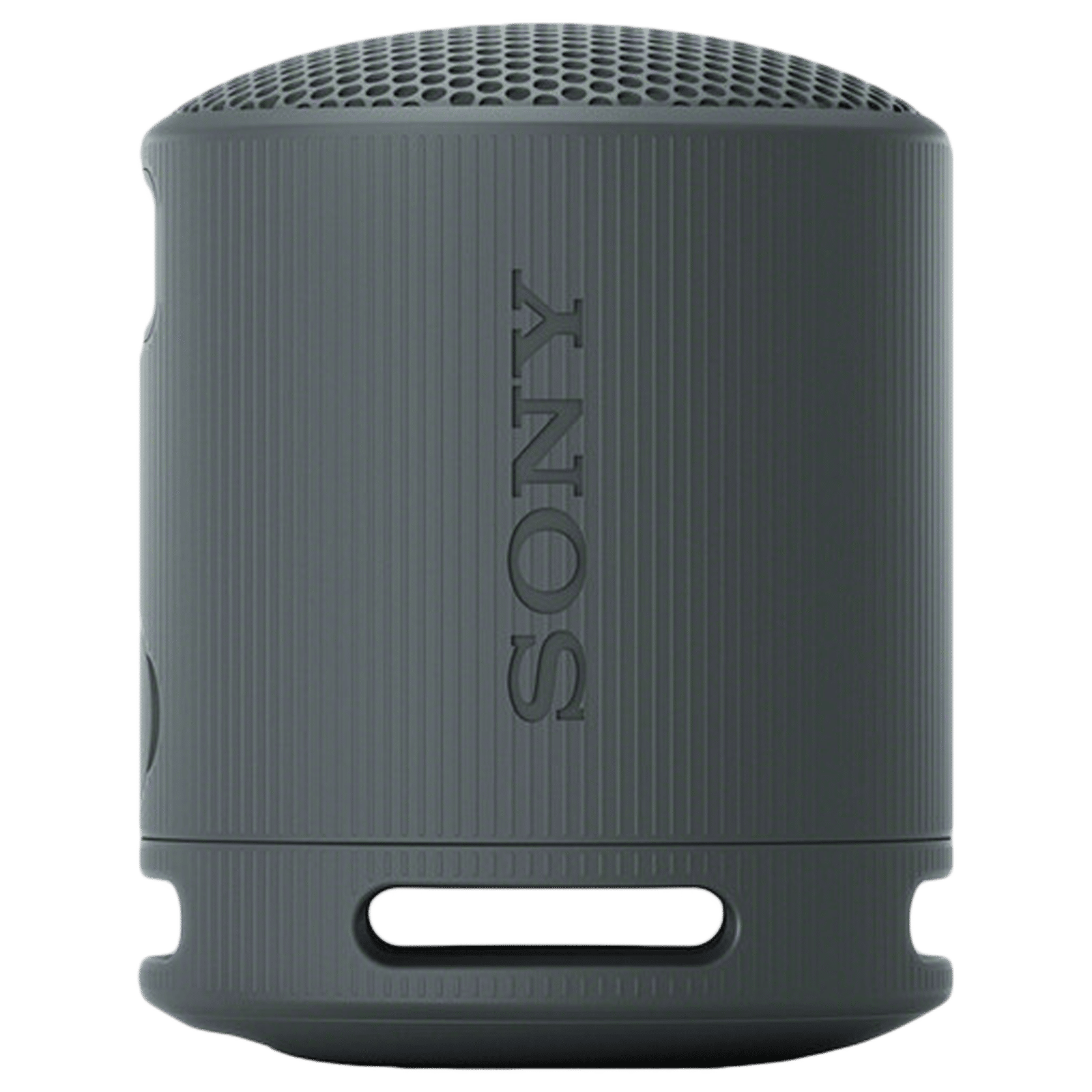 SONY SRS-XB100 2.5W Portable Bluetooth Speaker (IP67 Waterproof, 1.0 Channel, Black)