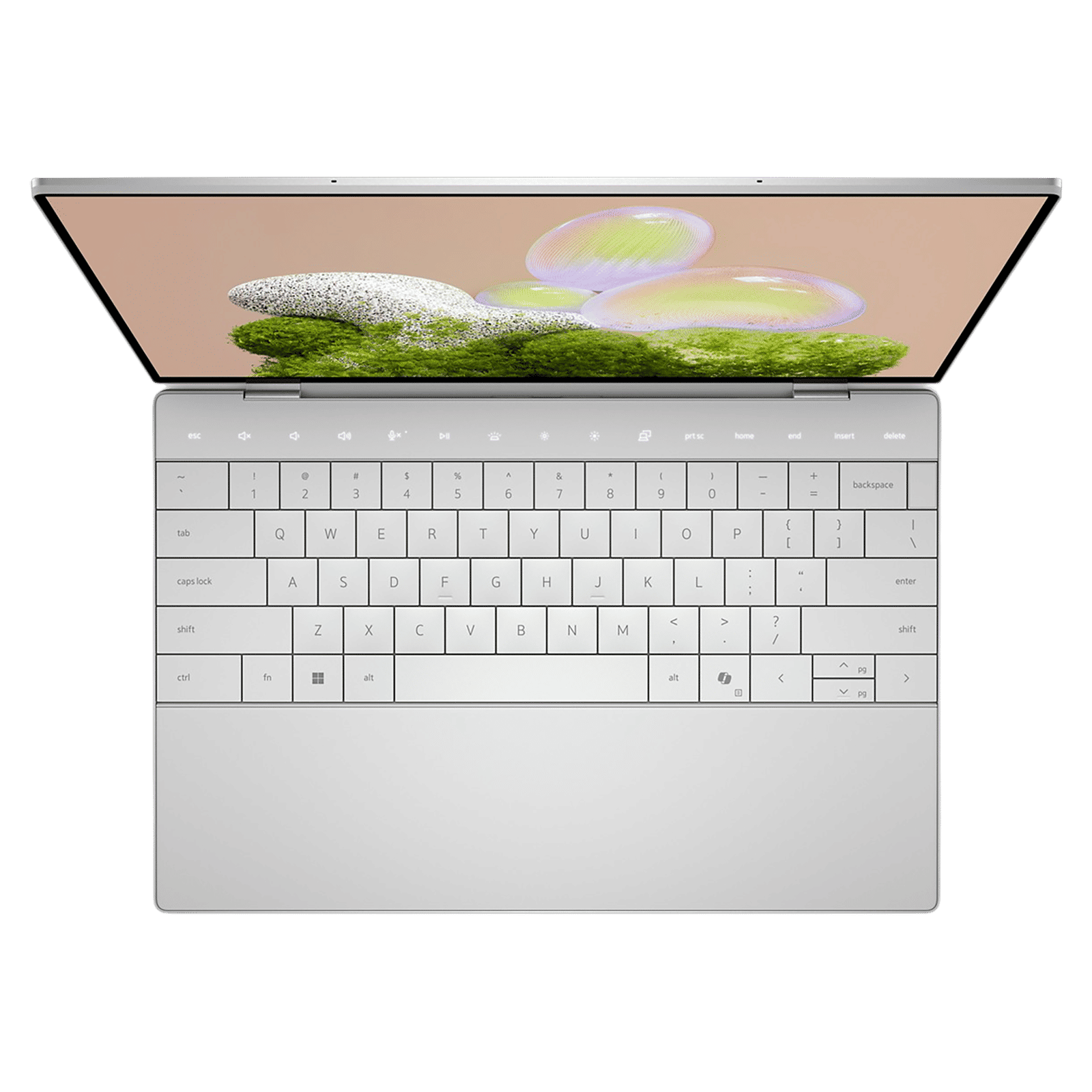 Buy DELL XPS 13 Intel Core Ultra Thin Light Laptop (16GB