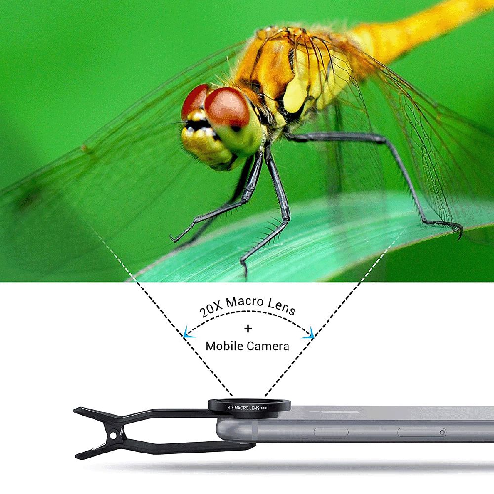 Macro Photography Skyvik Signi One 25mm Macro Lens Review Skyvik