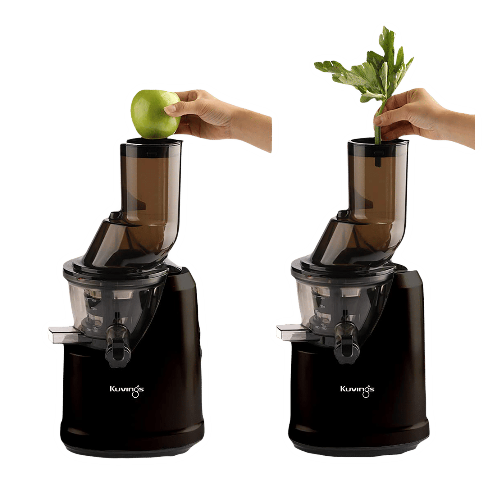 Buy Kuvings B1700 240 Watt Jar Cold Press Slow Juicer (50 RPM,