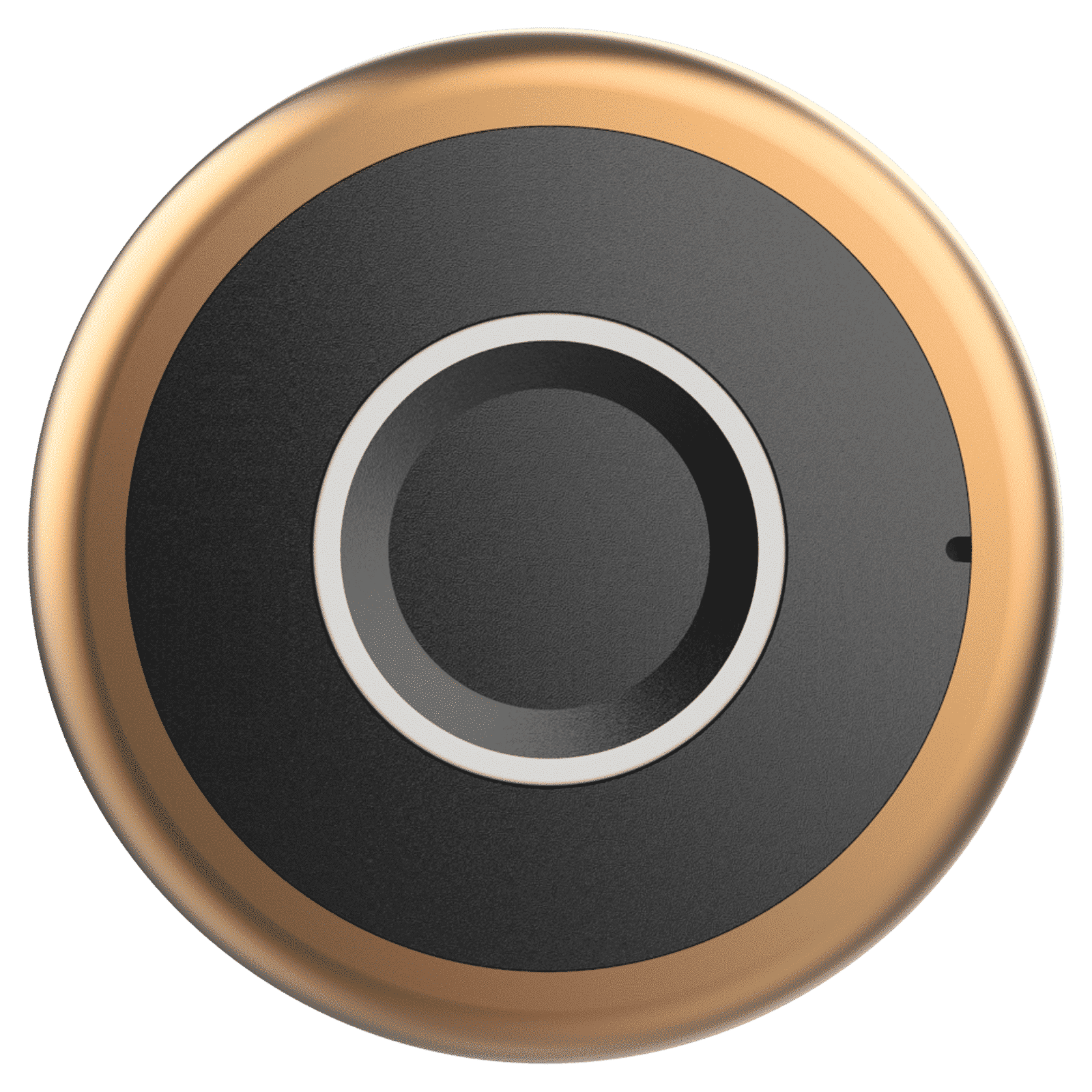 Yale YLDRPC Digital Smart Lock (LED Light & Sound Indicator, Rose Gold)